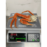 изображение 2024 09 26 121033346