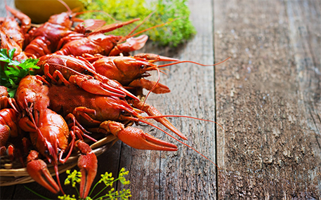 Где продаются раки: ориентируйтесь на качество