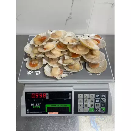 изображение 2024 09 26 124440116